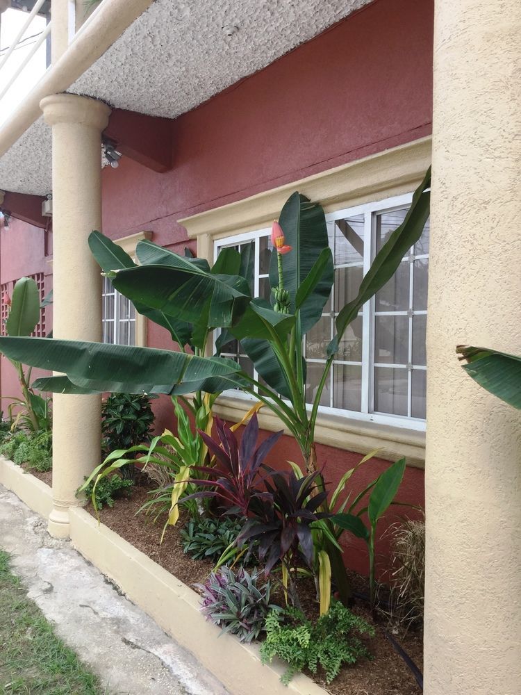 Inn Flight Suites Piarco Kültér fotó